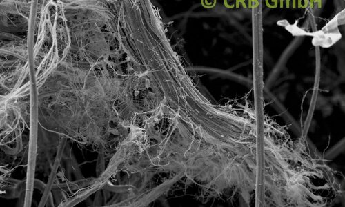 SEM-picture of chrysotile asbestos in mineral wool bearing insolation boards | © CRB Analyse Service GmbH