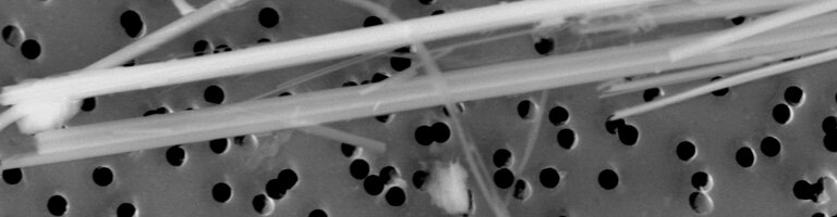 CRB GmbH | REM-Bild Chrysotil und Amosit auf Luftfilter | © CRB Analyse Service GmbH